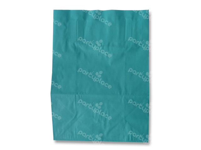 Aqua Blue - Large with Handle Party / Loot Bag